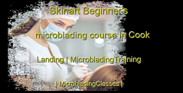 Skinart Beginner's microblading course in Cook Landing | MicrobladingTraining | MicrobladingClasses | SkinartTraining-United States